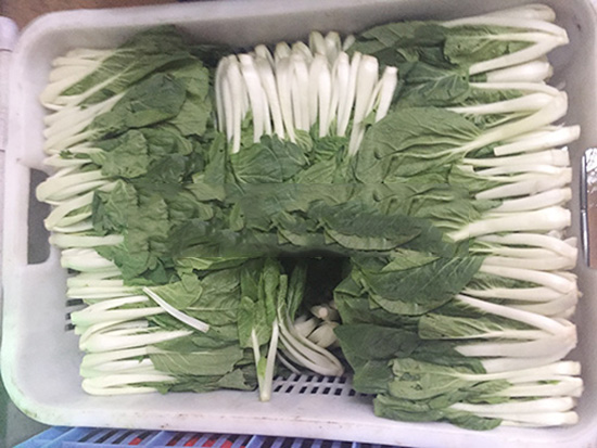 佛山農產品配送